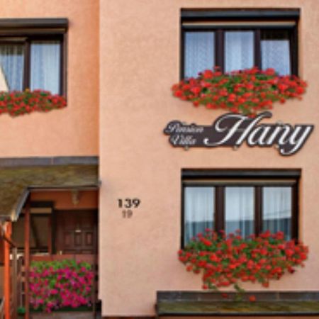 Pension Villa Hany Marianske Lazne Bagian luar foto