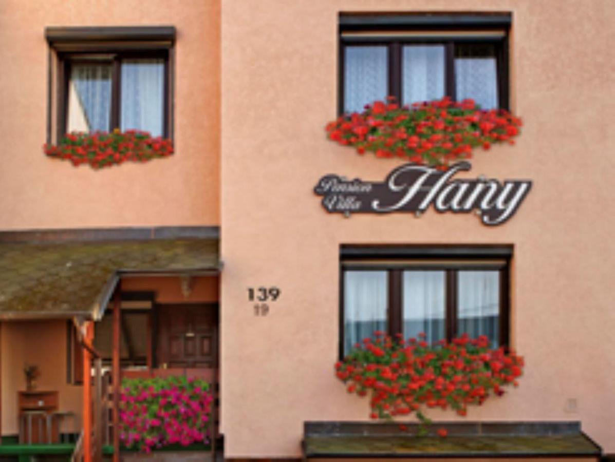 Pension Villa Hany Marianske Lazne Bagian luar foto